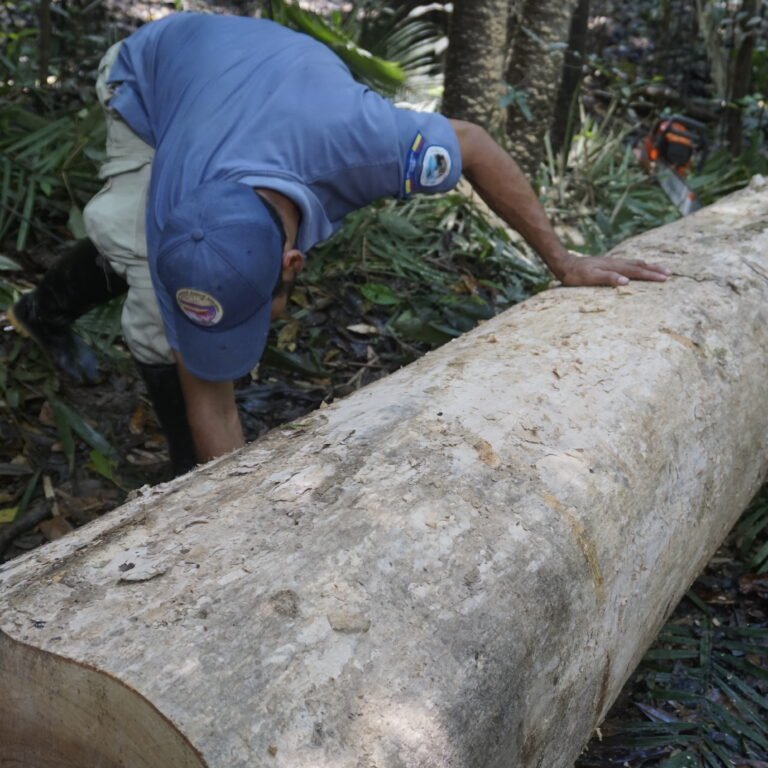 12_Johana Herrera_WWF